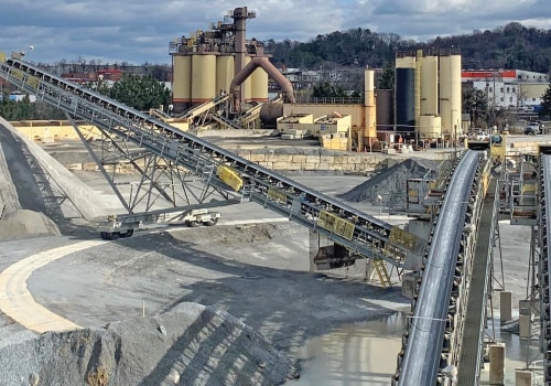 Why Bug Control Is Essential For Longevity In Asphalt Paving: A Las Vegas Perspective